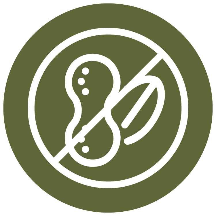 allergen free icon